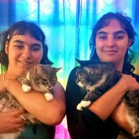 Sitter Profile Image: Alaina & Cassandra B.