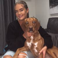 Sitter Profile Image: Amy M.