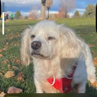 Sitter Profile Image: Burgandy M.