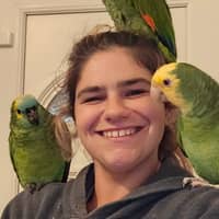 Sitter Profile Image: Sophia L.