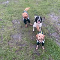 Sitter Profile Image: John D.