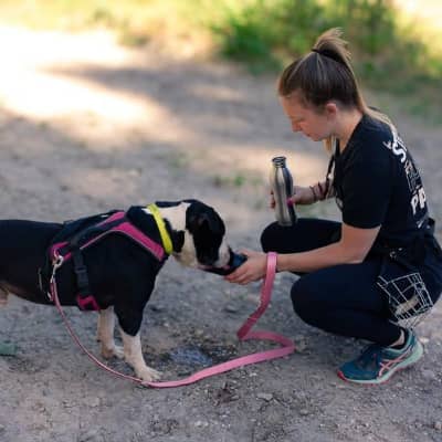 Photo de profil du pet sitter : Emma P.