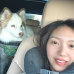 Sitter Profile Image: Lulu Y.