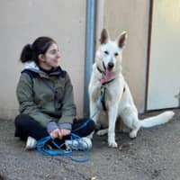 Sitter Profile Image: Sophie R.