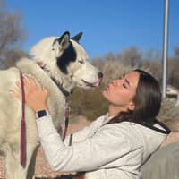 Sitter Profile Image: Anna P.