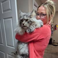 Sitter Profile Image: Stephanie F.