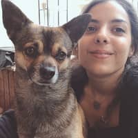 Photo de profil du pet sitter : Mégane T.