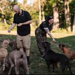 Sitter Profile Image: Taylor H.