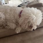 Sitter Profile Image: Rosmary S.