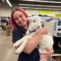 Sitter Profile Image: Rebecca R.