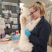 Sitter Profile Image: Rebecca D.