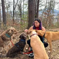 Sitter Profile Image: Emily C.