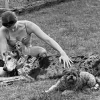 Sitter Profile Image: Sarah C.