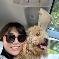 Sitter Profile Image: Dan W.