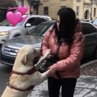 Sitter Profile Image: Dalia B.