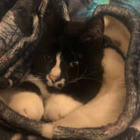 Sitter Profile Image: Kimberly H.