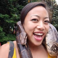 Sitter Profile Image: Chau N.