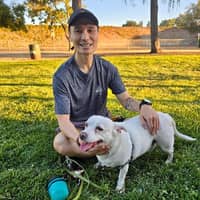 Sitter Profile Image: Son N.