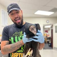 Sitter Profile Image: Pierce C.