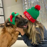 Sitter Profile Image: Haydyn B.