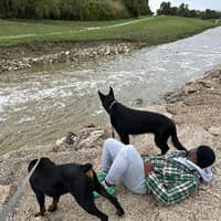 Sitter Profile Image: Nick D.