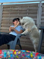 Photo de profil du pet sitter : Angelo P.
