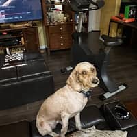 Sitter Profile Image: Maurice C.