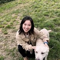 Sitterprofilbild: Ying Z.