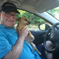 Sitter Profile Image: John d.