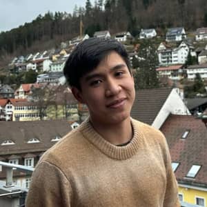 Sitter Profile Image: Dinh Thanh Son V.