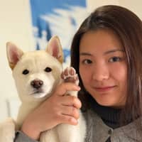 Passarens profilbild: tianxu f.