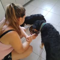 Photo de profil du pet sitter : Mélodie V.
