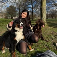 Sitterprofilbild: Elsimar S.