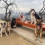 Sitter Profile Image: Jessica M.