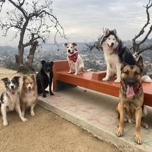 Sitter Profile Image: Jessica M.