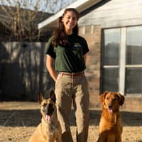 Sitter Profile Image: Arden S.