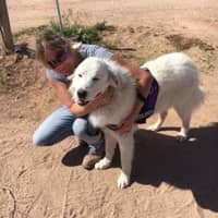 Sitter Profile Image: Lindsay A.