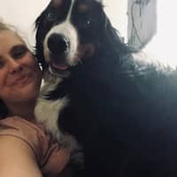 Sitterprofilbild: Felicia B.