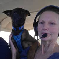 Sitter Profile Image: Karen O.