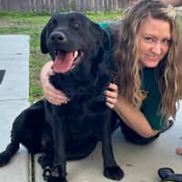 Sitter Profile Image: DARA K.