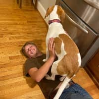 Sitter Profile Image: Ellis C.