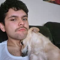 Sitter Profile Image: Juan S.