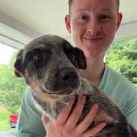 Sitter Profile Image: Ethan S.