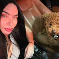 Sitter Profile Image: Holly S.