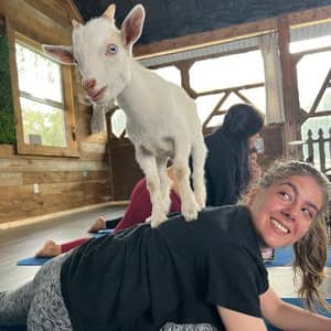 Sitter Profile Image: Tristien I.