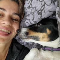 Immagine del profilo del sitter: Giorgia S.