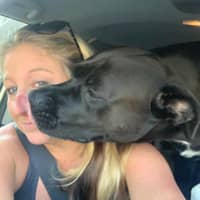 Sitter Profile Image: Crystal S.