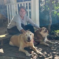 Sitter Profile Image: Susan K.