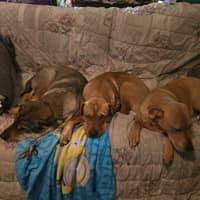 Sitter Profile Image: Jessica B.