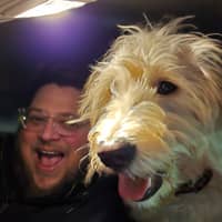 Sitter Profile Image: David S.